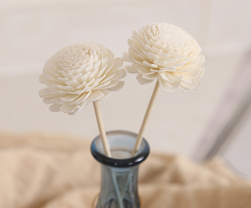 product-509-421 product-509-421