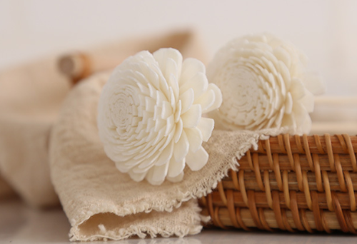 product-497-340 product-497-340