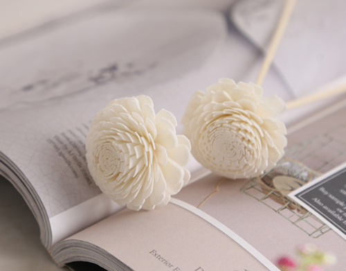 product-492-385 product-492-385